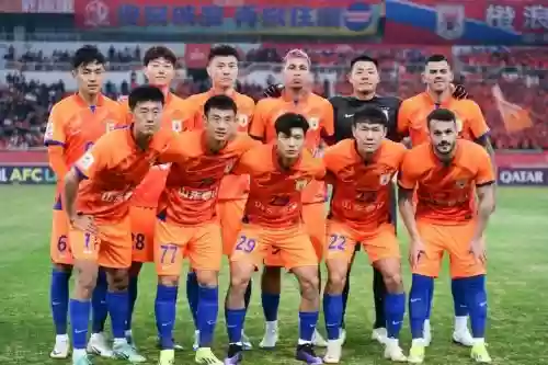鲁能明确阵容插图1
