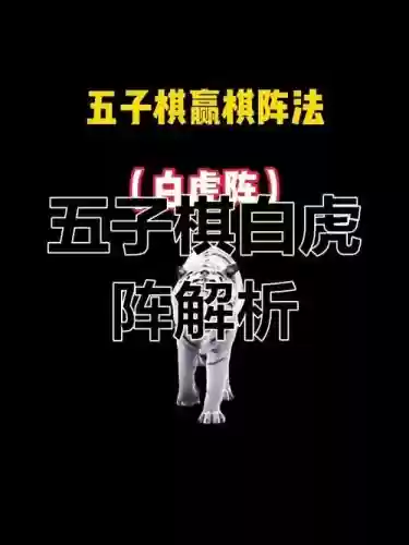 老虎阵容讲解插图