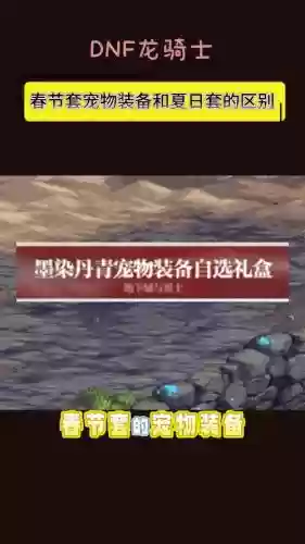 买春节套不要宠物装备_1插图