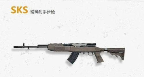 绝地求生武器sks_1插图1