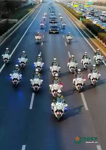 铁骑护卫阵容插图1