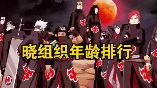 晓佐阵容插图1