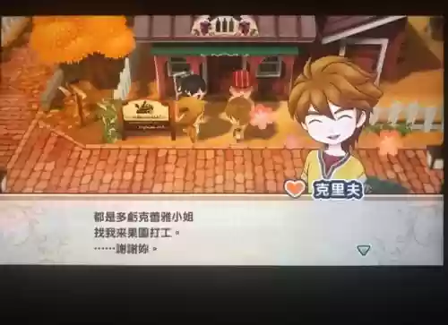 牧场物语攻略sfc插图