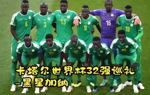 加纳上场阵容插图