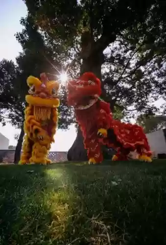 广东舞狮阵容_1插图