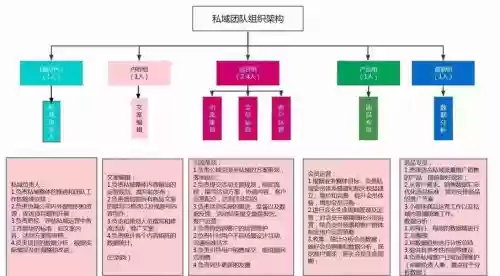 阵容运营图_1插图1