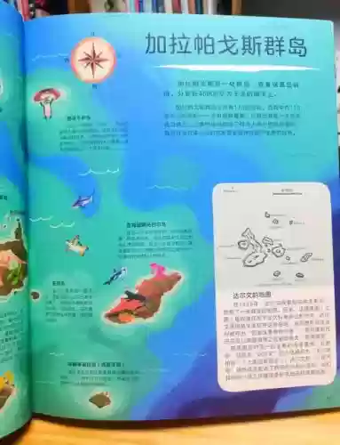 达尔文进化岛397攻略插图