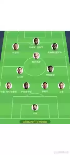 433阵容法国插图