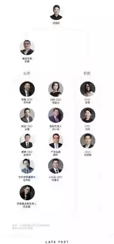 京东阵容名单插图