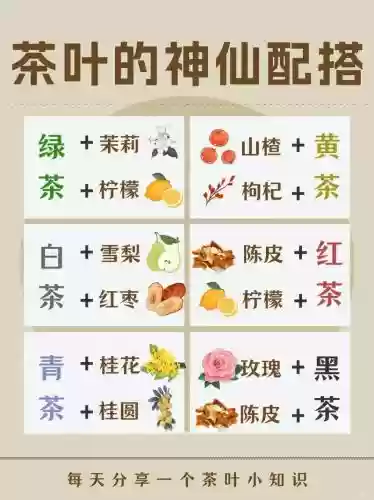 茶茶阵容搭配_1插图