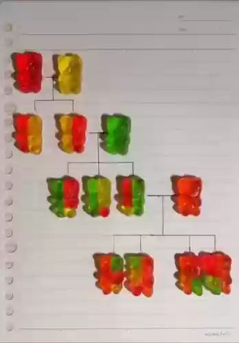 小熊软糖阵容插图