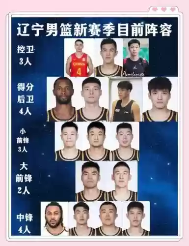 辽宁比赛阵容插图