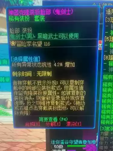超时空版本黑暗武士装备选择插图