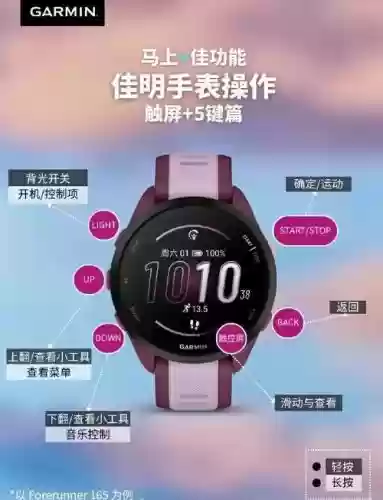 佳明飞5攻略插图