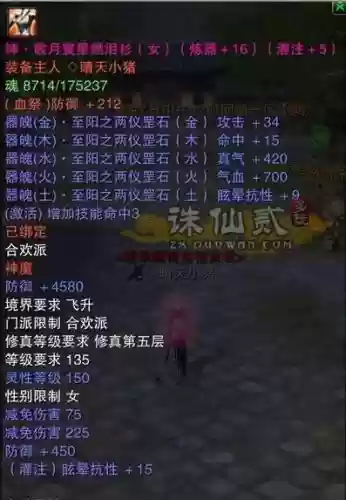多玩诛仙挂无双装备插图