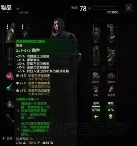 巫师3匠师级装备蓝图插图