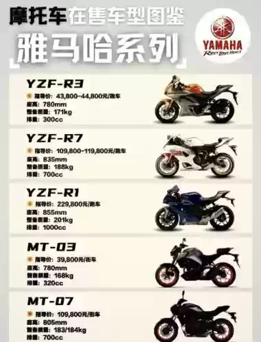 2022雅马哈阵容插图