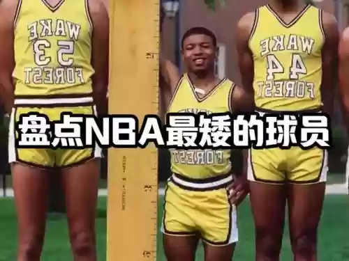 nda最矮阵容