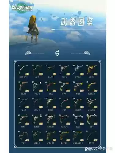 塞尔达无双DX武器等级_1插图1