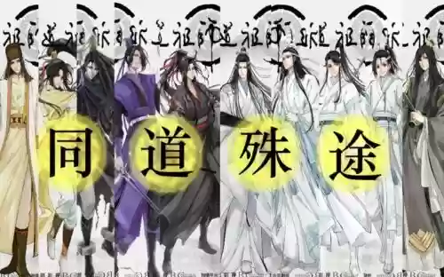 同道殊途阵容