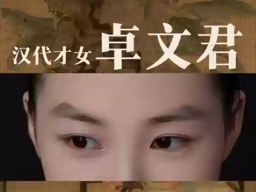卓文君阵容搭配插图