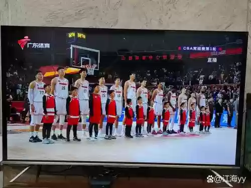 阳东首发阵容_1插图