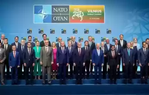 美国盟友阵容插图