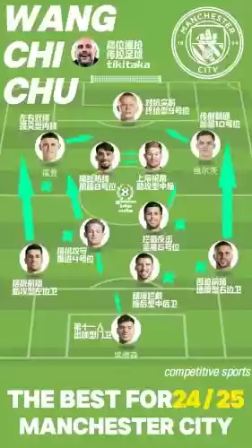 245以后阵容插图