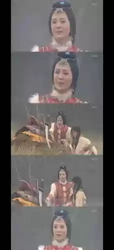 小康王朝阵容插图