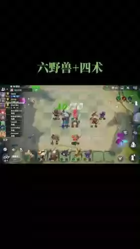 6术士阵容插图