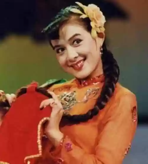 阵容王小燕插图