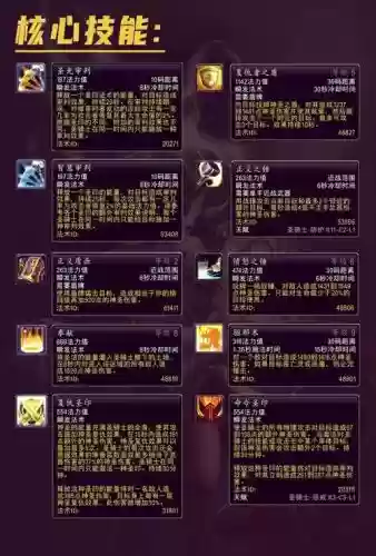 男圣骑士带的辅助装备选择插图