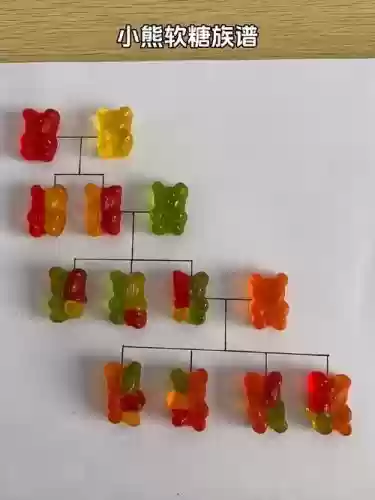小熊软糖阵容插图1