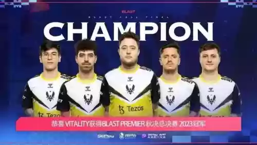 蜜蜂csgo阵容插图