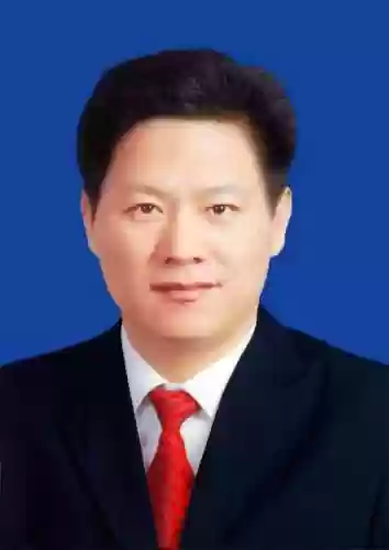 吴国强阵容插图