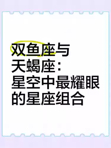 天蝎双鱼阵容插图1