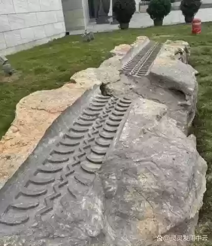 石头车阵容插图1