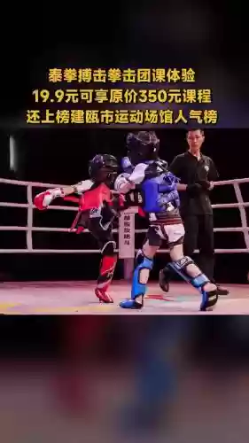 格斗黑客阵容搭配，格斗黑拳插图1
