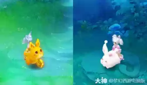 梦幻西游兔小兔跟过谁，梦幻西游小阿兔本人插图1