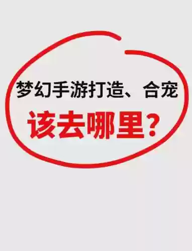 梦幻西游合宠地点怎么选择，梦幻西游合宠去哪里合插图1