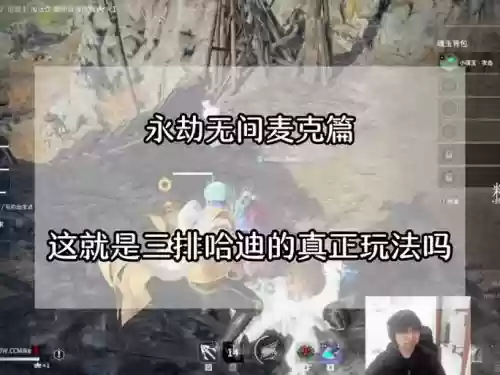 哈迪阵容搭配插图