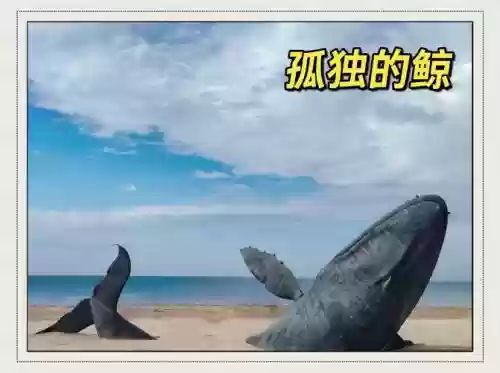 永不孤单鲸鱼攻略，永不孤单攻略鲸鱼灵魂插图1