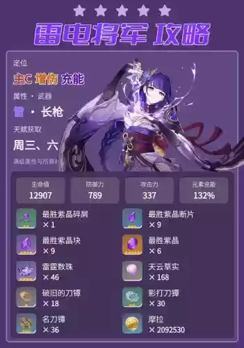 雷电将军5星阵容搭配推荐，雷电将军五星圣遗物推荐插图