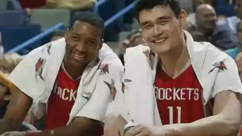 姚麦阵容搭配，姚麦最强一年插图1