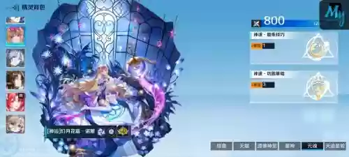 无人知晓的阵容搭配，无人知晓solo插图1