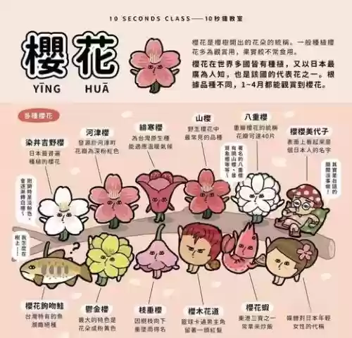 森林樱花阵容搭配，森林花怎么获得插图