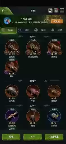 新世界豹子宝石搭配阵容，新世界豹子突破材料插图