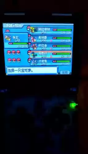 口袋妖怪白金通关攻略视频，口袋妖怪白金剧情攻略插图