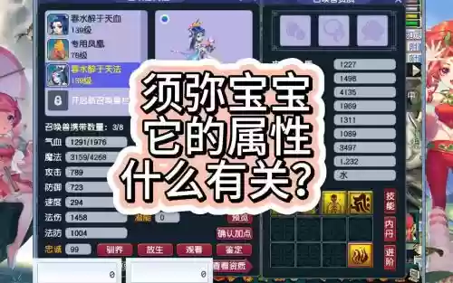 须弥宝宝装备加什么属性好，须弥宝宝装备要灵力还是法力插图