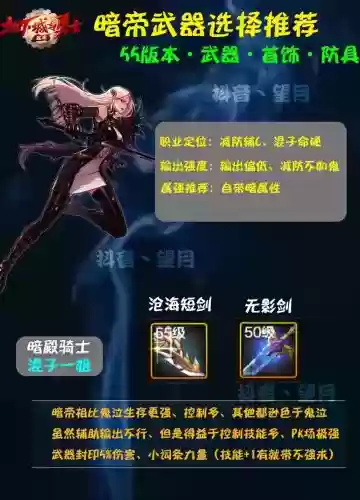 暗帝和帕拉丁武器，暗帝和帕拉丁武器哪个好插图